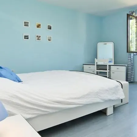 House In With Balcony, Air Conditioning, W-lan, Washing Machine Holiday home Buje